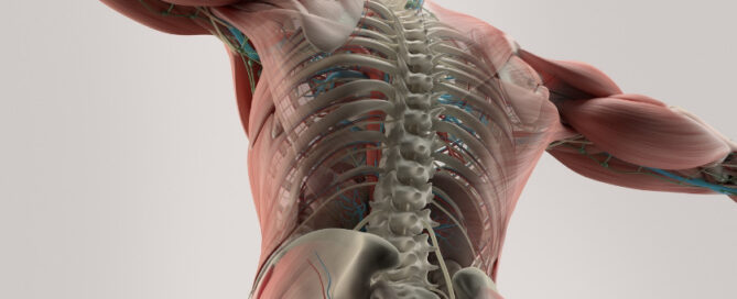 spinal rehab